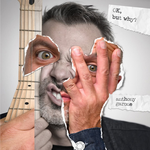 OK But Why? cover art