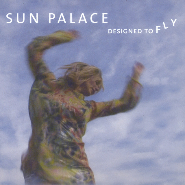 Designed To Fly cover