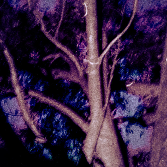 Fall Asleep