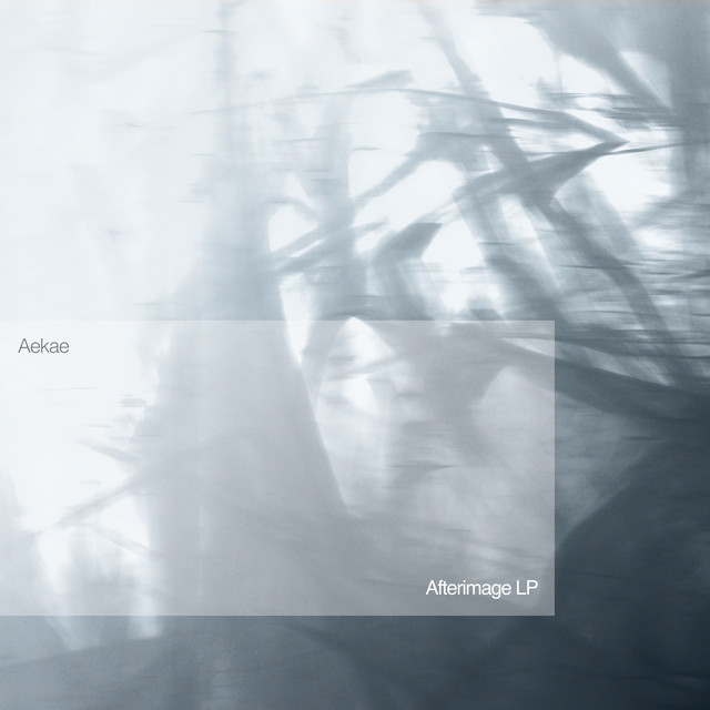 Afterimage LP cover