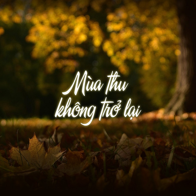 Mùa Thu Không Trở Lại cover