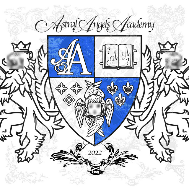 AA ACADEMY cover art