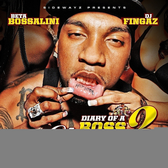 Diary of a Boss: Chapter 3 - B*tch I'm The Boss cover art