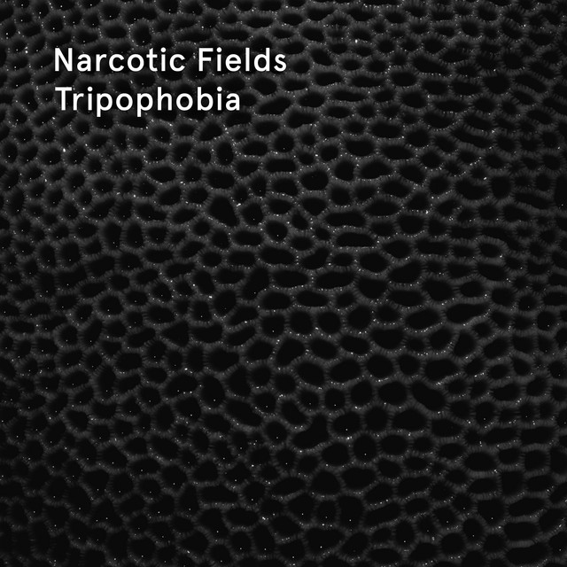 Tripophobia cover art