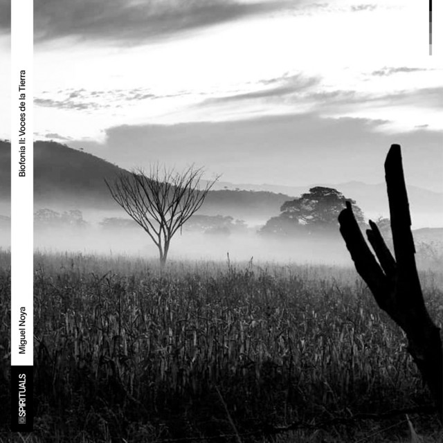 Biofonía II: Voces de la Tierra artwork