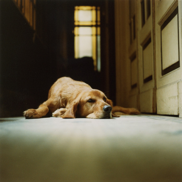Candoca cover art