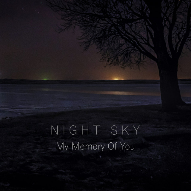 What Would I Do Without You cover art
