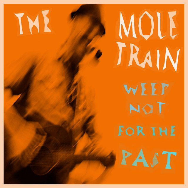The Mole Train