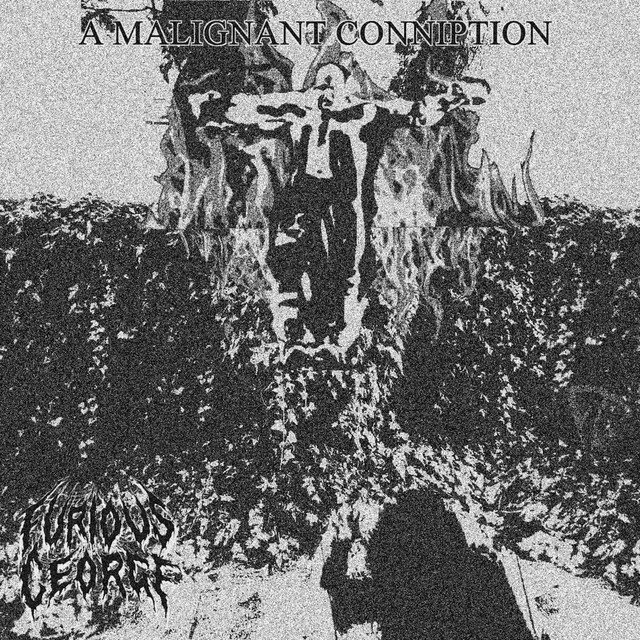 Witch Hunt cover