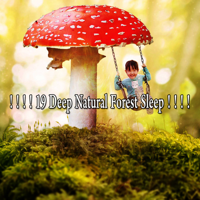 19 Deep Natural Forest Sleep ! ! ! ! - Album by Mother Nature Sound FX ...