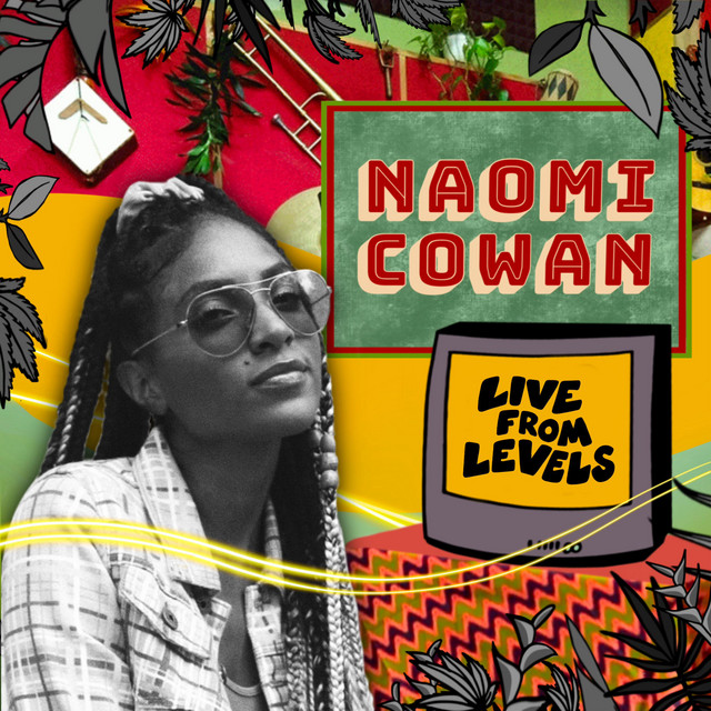 Paradise Plum - Live From Levels cover art