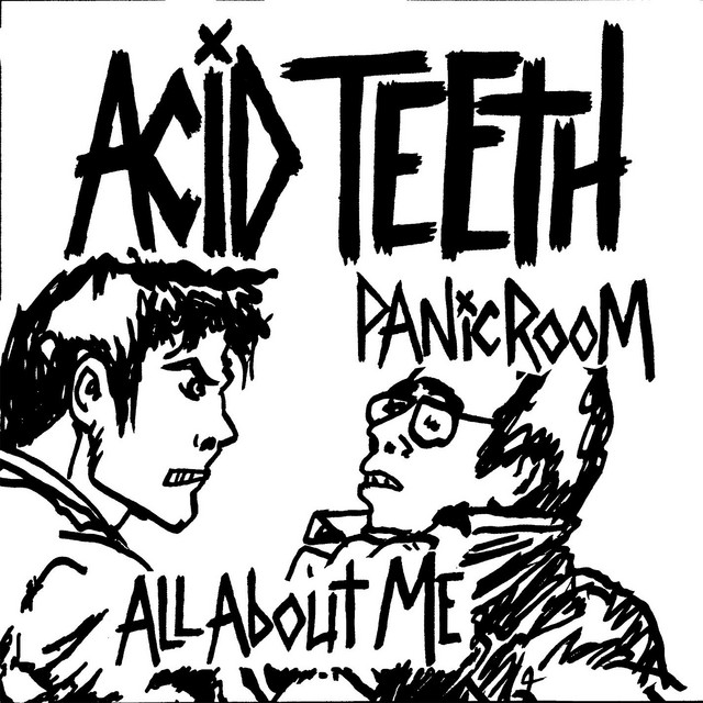 Panic Room cover art