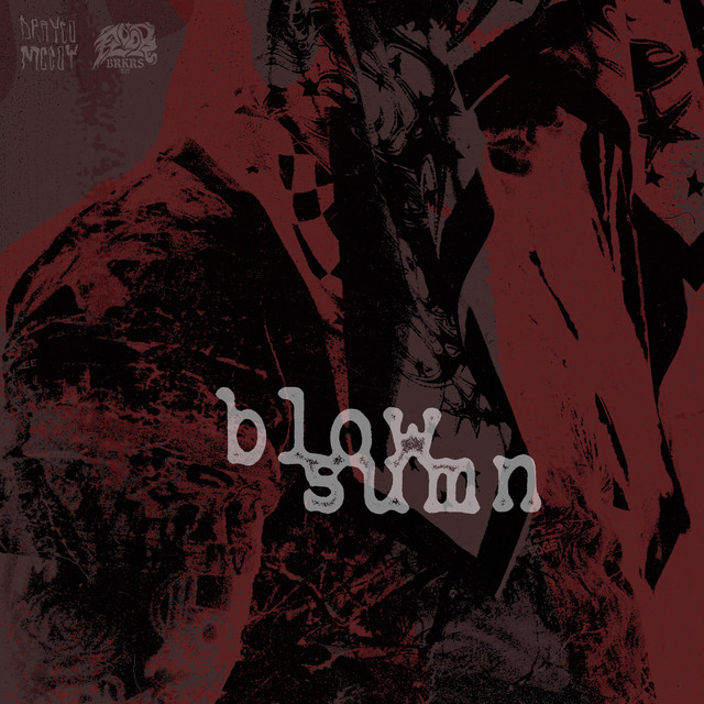 Blow Sumn album image