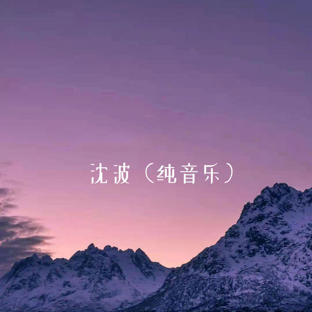 沈波 新的第4套 (纯音乐) cover art