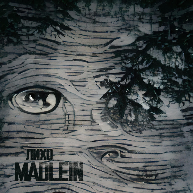 Обкладинка: Лихо — Madlein