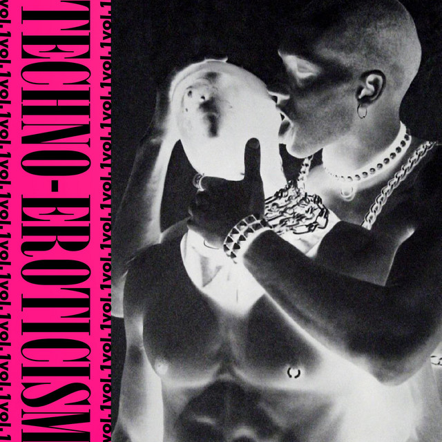 Techno-Eroticism Vol.1 cover art