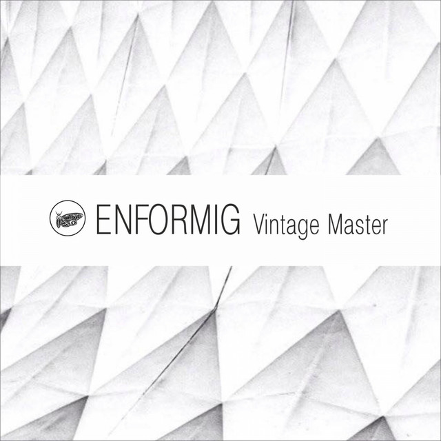 Обкладинка Enformig — Vintage Master EP