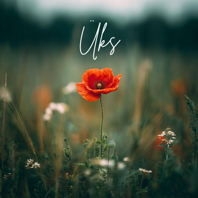 Üks cover