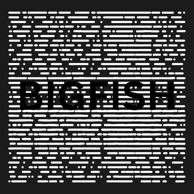 Big Fish cover art
