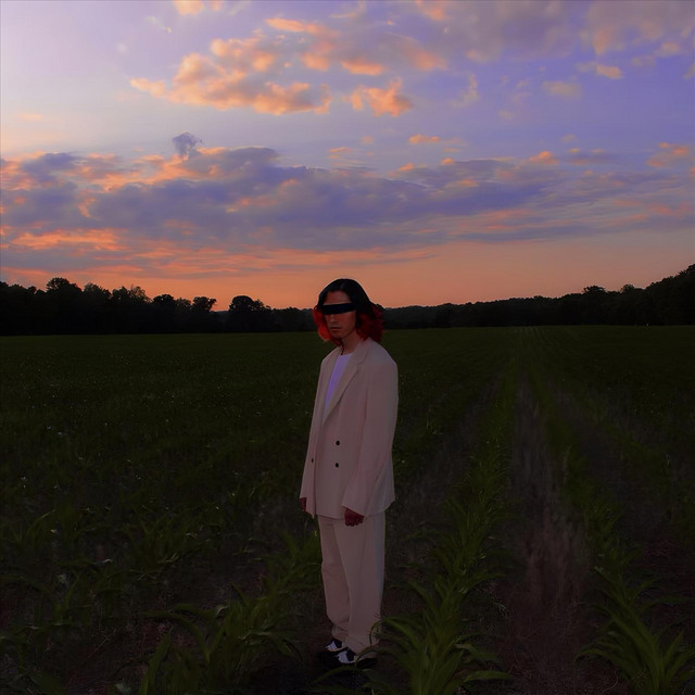Where Has the Time Gone? cover