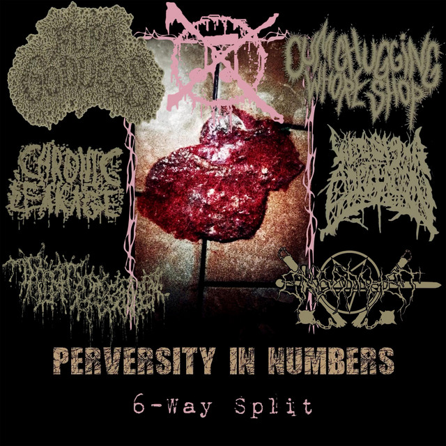 Perversity In Numbers/6-Way Split cover art