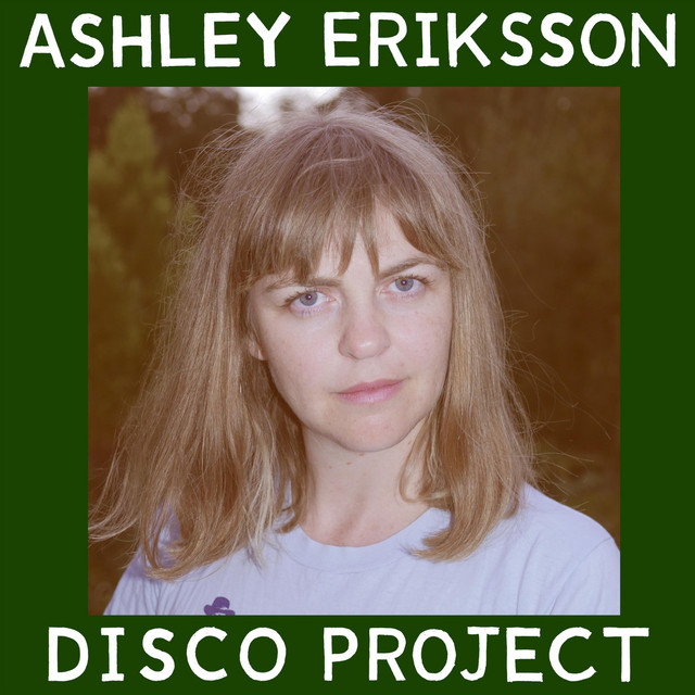 Disco Project cover art