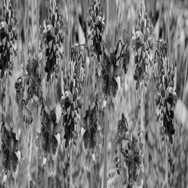 Art Orourke | Spotify