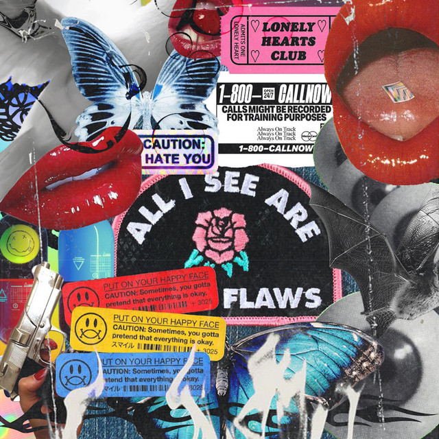 2017 Flaws cover art
