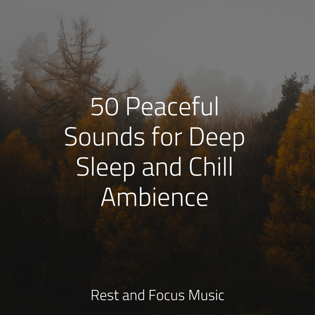 50 Peaceful Sounds for Deep Sleep and Chill Ambience - Album by Sleepy ...