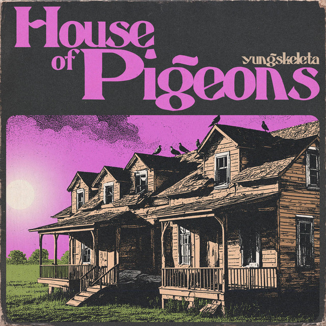 House of Pigeons cover art