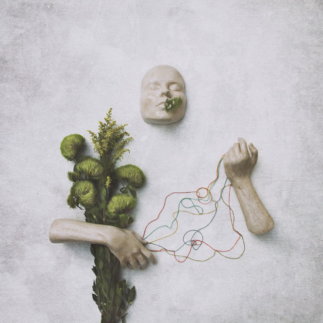 A Mouth May Grow cover art