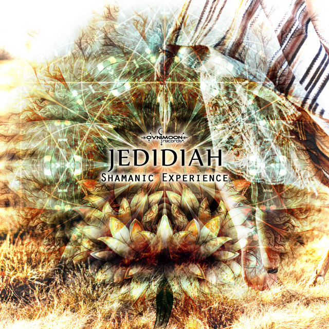 Shamanic Experience cover art