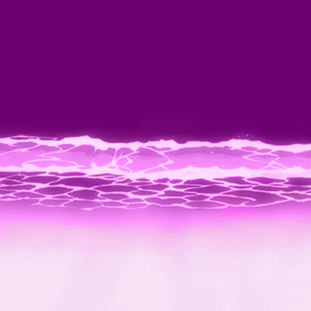 Lean Drop cover art