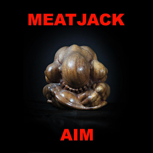 AIM (expanded) cover art