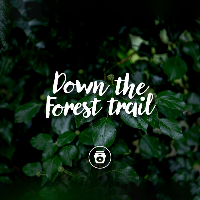 Down The Forest Trail cover art