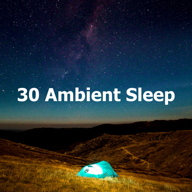 30 Ambient Sleep - Album by Soothing Music for Sleep | Spotify
