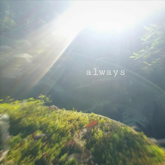 always cover art