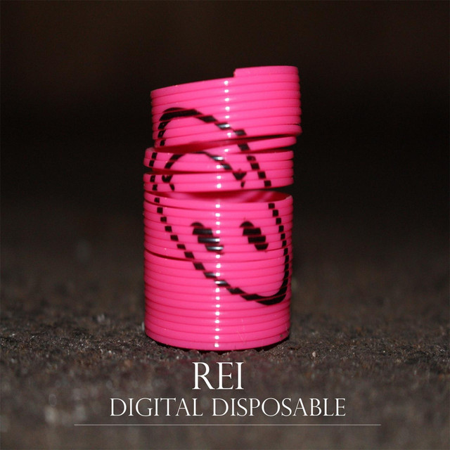 Digital Disposable cover art