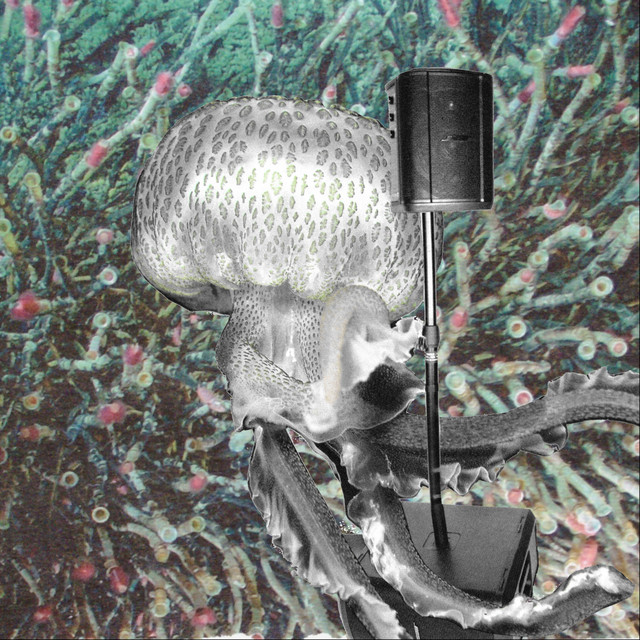Baby Steps VEP cover art