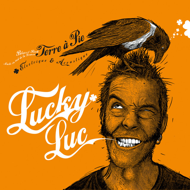 Terre à pie, électrique et acoustique (Blues et rock made in sud de la France) cover art