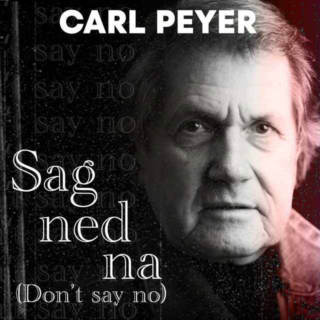 SAG NED NA (Don't Say No) cover