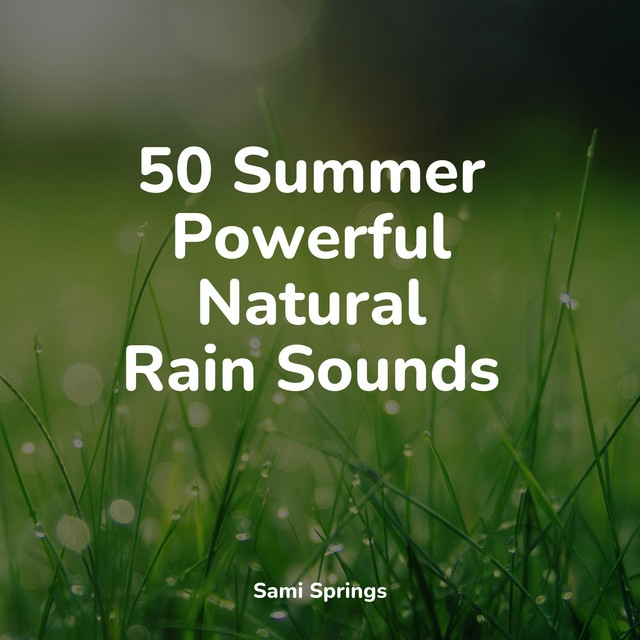50 Calming Rain Sounds for Meditation & Meditation - Album by White ...