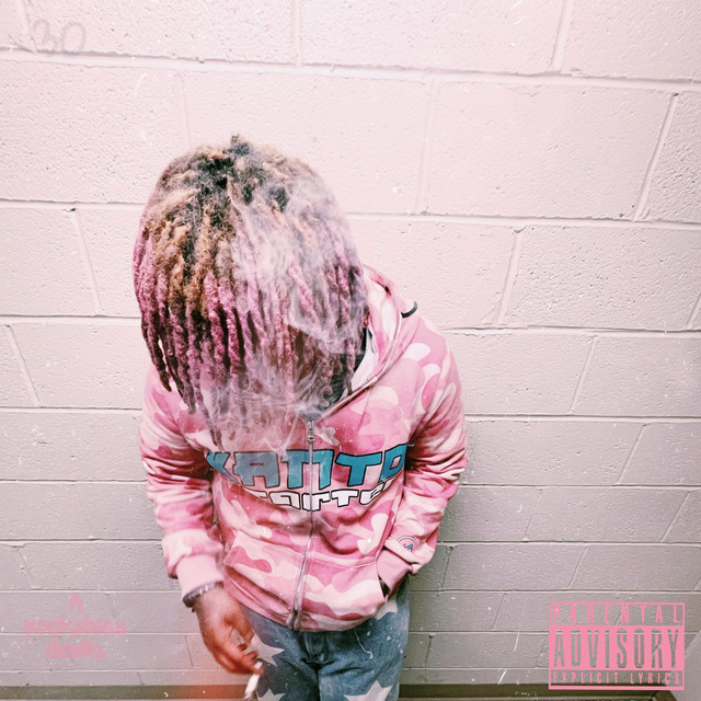 A Rockstars Death. cover art