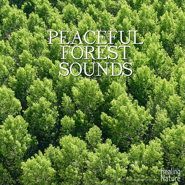 Peaceful Forest Sounds cover art