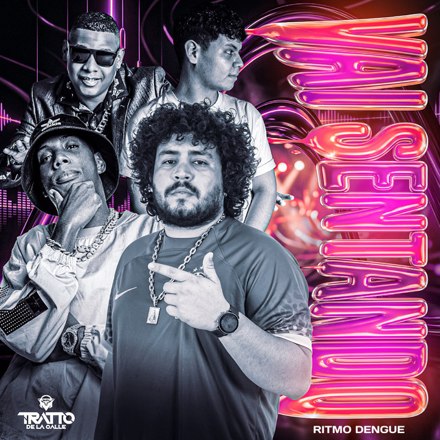 Vai Sentando [Ritmo Dengue] album image