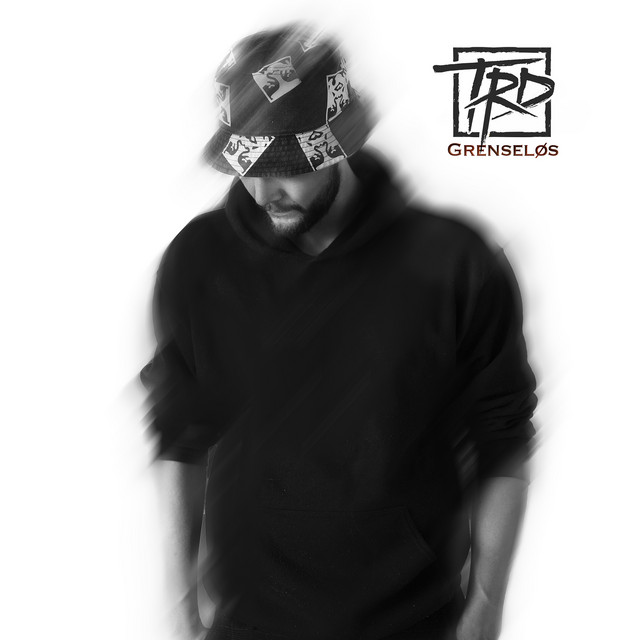 Grenseløs cover art