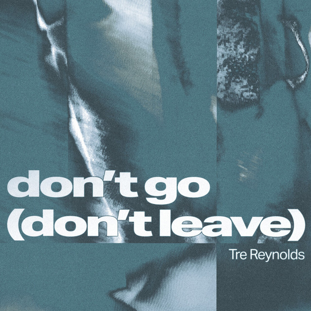 Don't Go (Don't Leave) - Extended album art