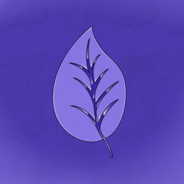 Gars Modifé cover art