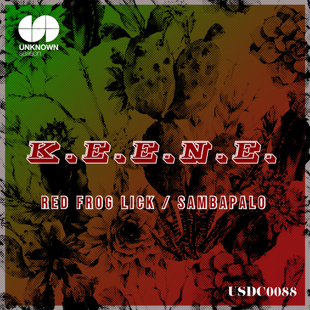 Sambapalo album art