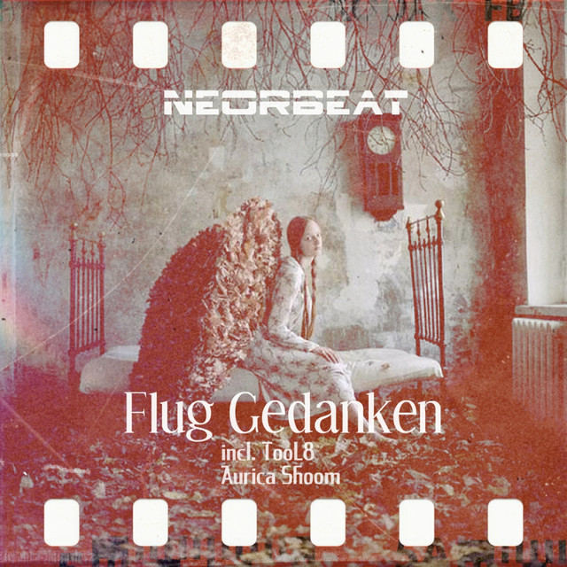 Flug Gedanken cover art